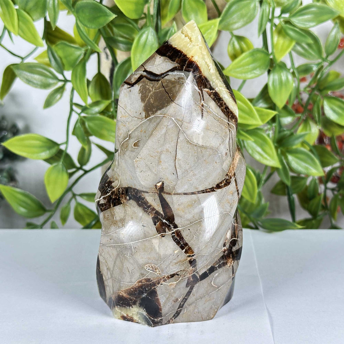 Septarian Crystal Freeform - Gem Avenue Retail