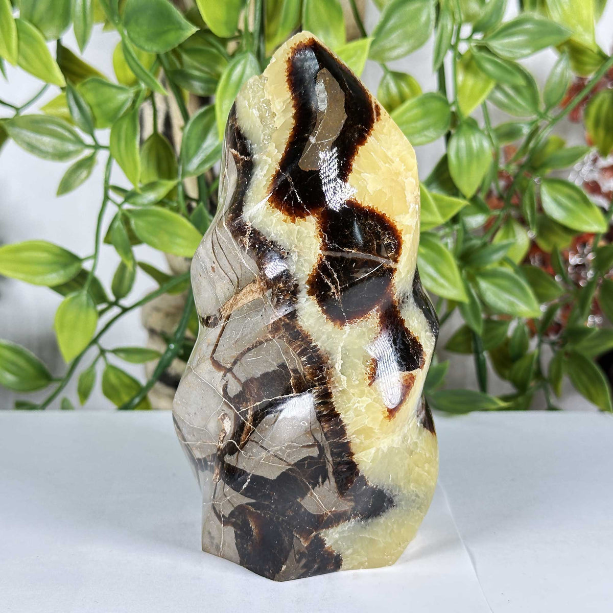 Septarian Crystal Freeform - Gem Avenue Retail