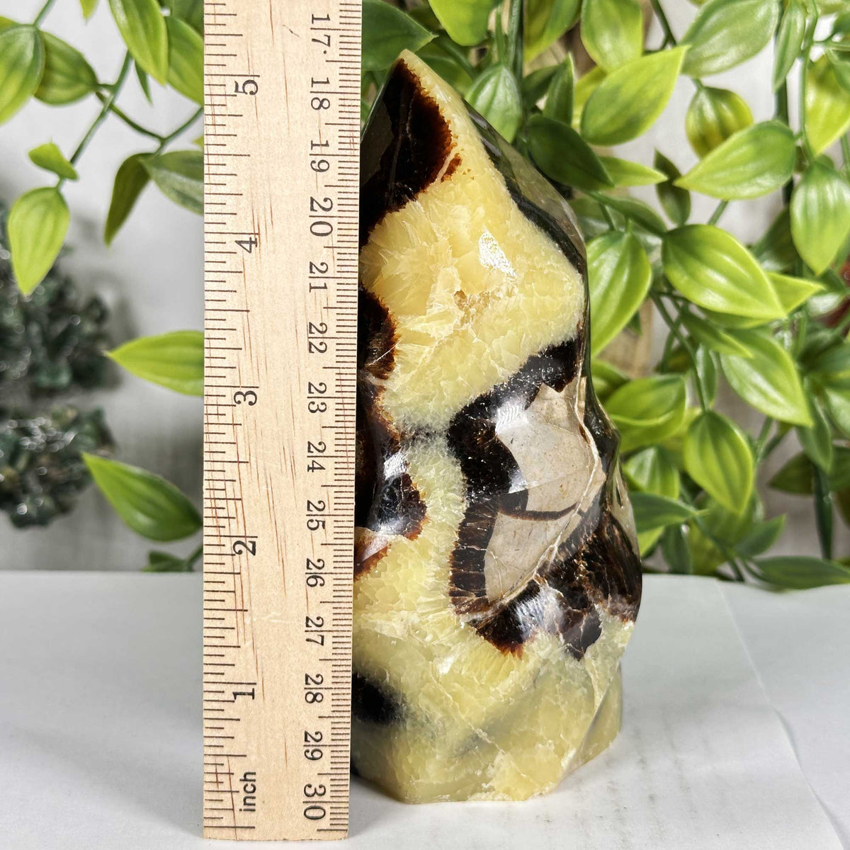 Septarian Crystal Freeform - Gem Avenue Retail