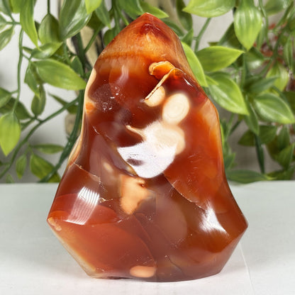 Madagascar Carnelian Freeform Flame Crystal 4" Tall