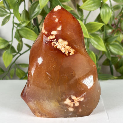 Madagascar Carnelian Freeform Flame Crystal 4" Tall