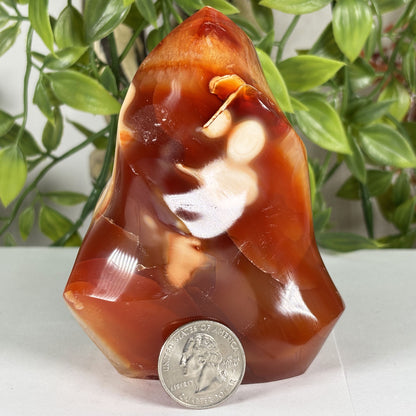 Madagascar Carnelian Freeform Flame Crystal 4" Tall