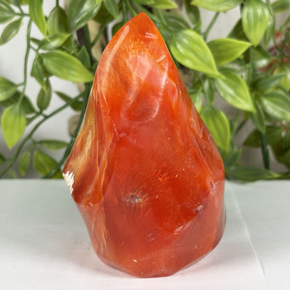 Madagascar Carnelian Freeform Flame Crystal 3.75" Tall