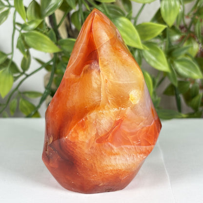 Madagascar Carnelian Freeform Flame Crystal 3.75" Tall