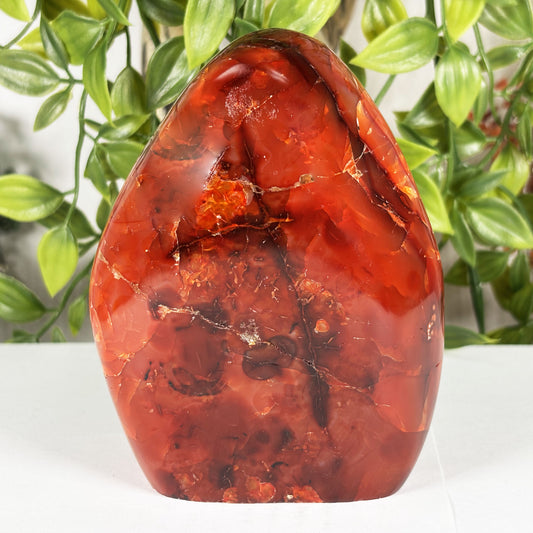 Madagascar Carnelian Freeform Flame Crystal 4.25" Tall