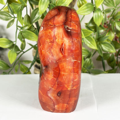 Madagascar Carnelian Freeform Flame Crystal 4.25" Tall