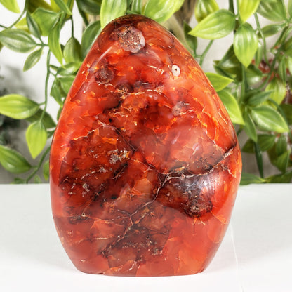 Madagascar Carnelian Freeform Flame Crystal 4.25" Tall