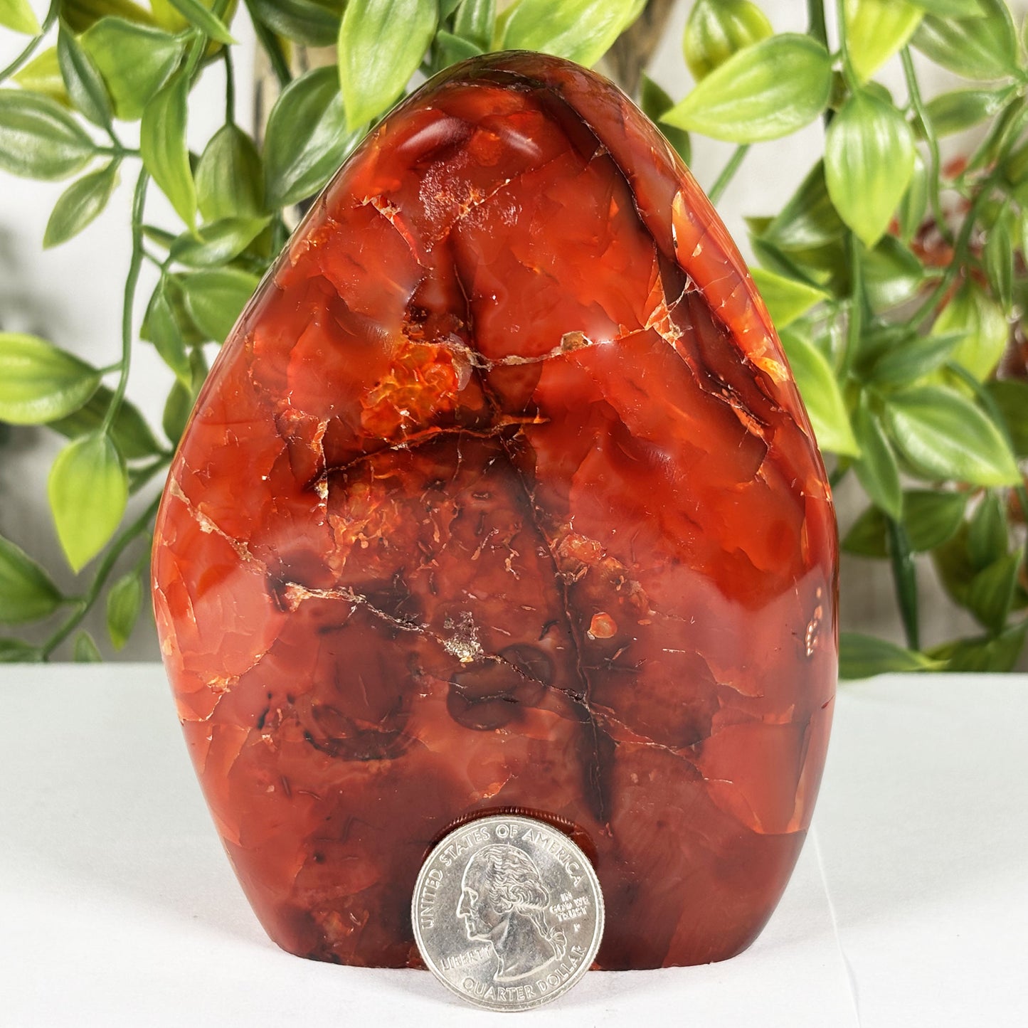 Madagascar Carnelian Freeform Flame Crystal 4.25" Tall