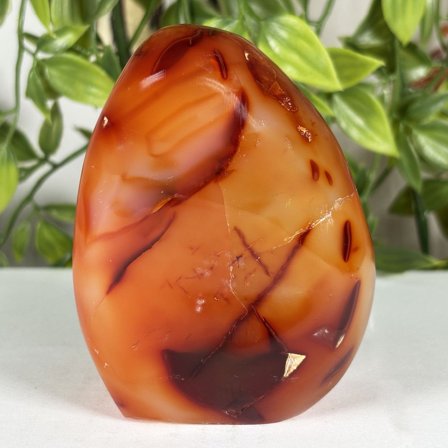 Madagascar Carnelian Freeform Flame Crystal 3.5" Tall