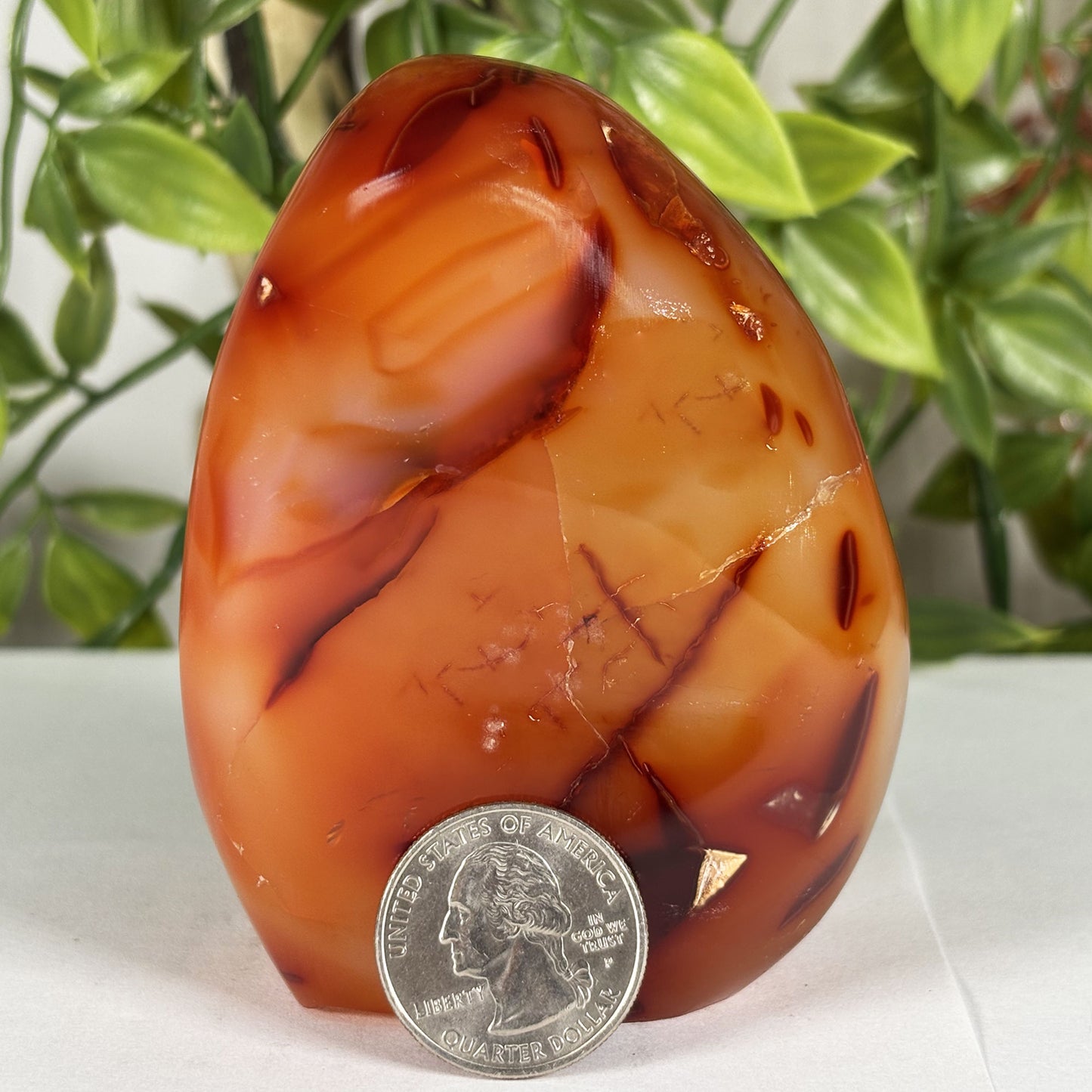 Madagascar Carnelian Freeform Flame Crystal 3.5" Tall