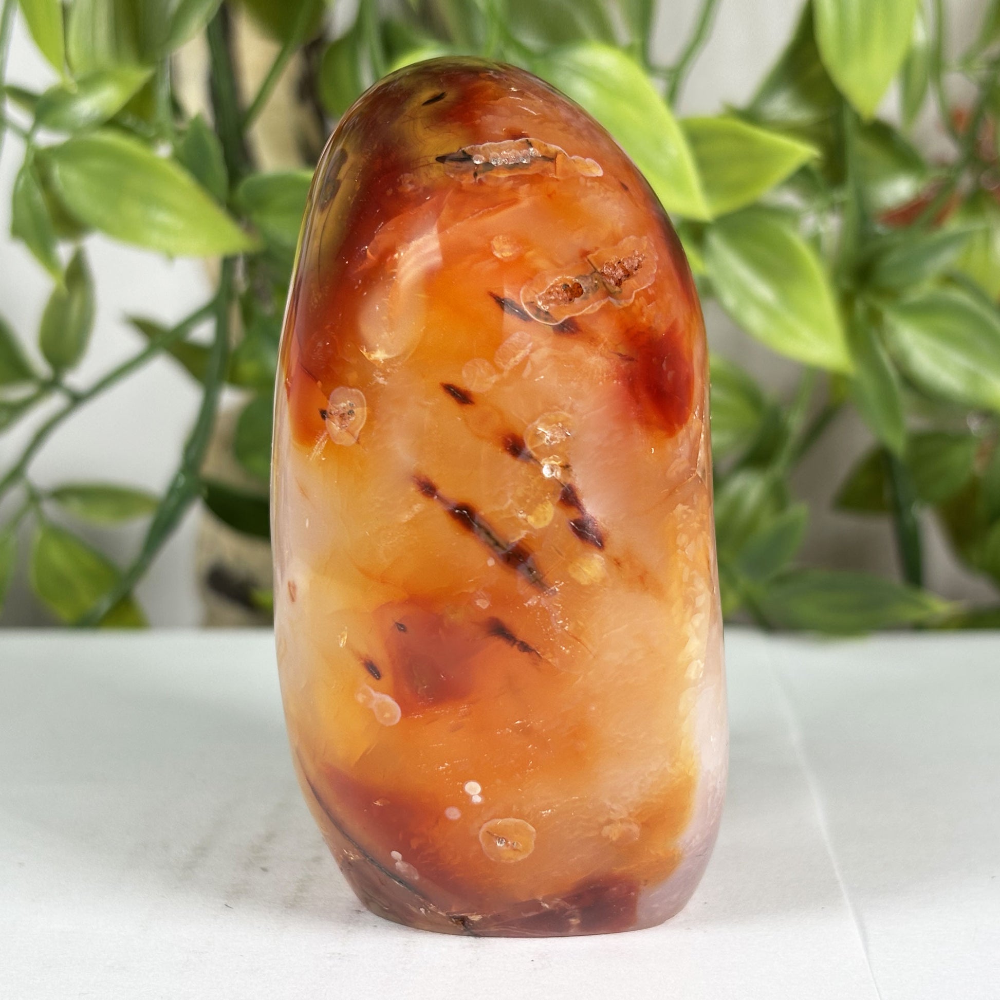 Carnelian Crystal Freeform - Gem Avenue Retail