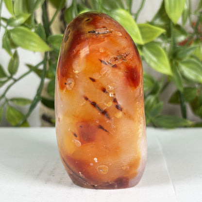 Carnelian Crystal Freeform - Gem Avenue Retail