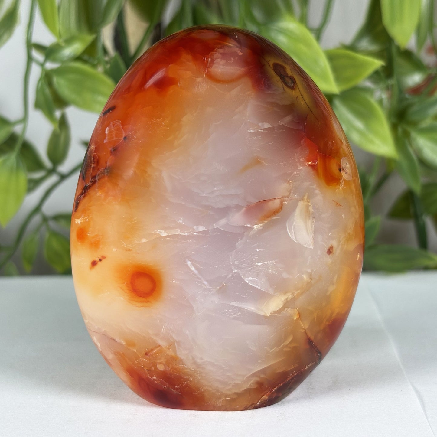 Carnelian Crystal Freeform - Gem Avenue Retail