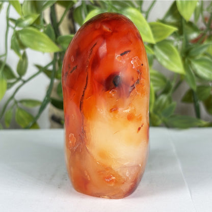 Carnelian Crystal Freeform - Gem Avenue Retail