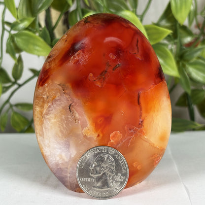 Carnelian Crystal Freeform - Gem Avenue Retail