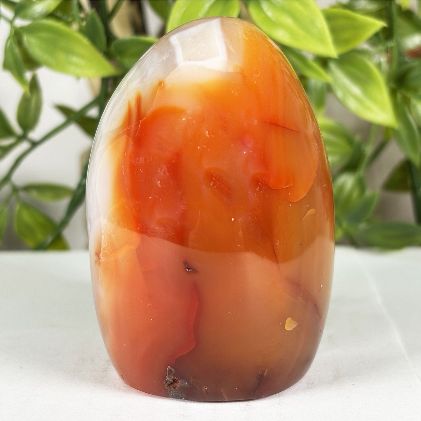 Carnelian Crystal Freeform -Gem Avenue Retail