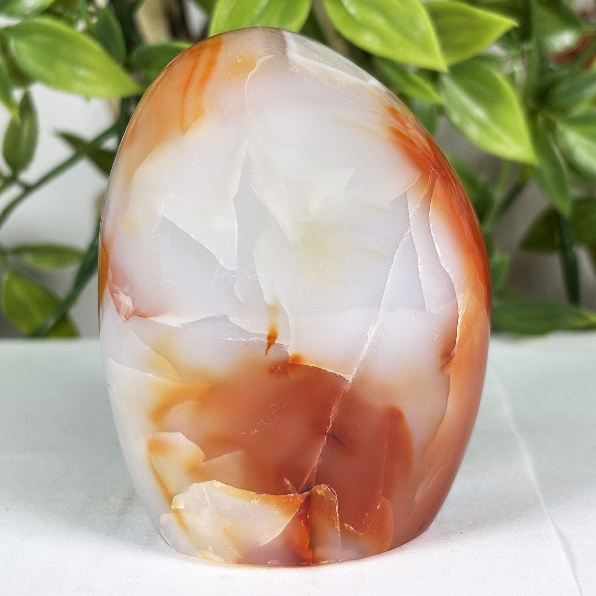 Carnelian Crystal Freeform -Gem Avenue Retail