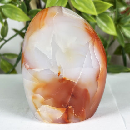 Carnelian Crystal Freeform -Gem Avenue Retail
