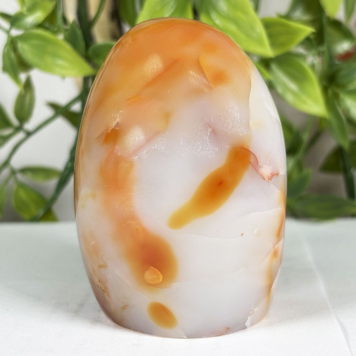 Carnelian Crystal Freeform -Gem Avenue Retail