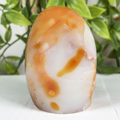Carnelian Crystal Freeform -Gem Avenue Retail