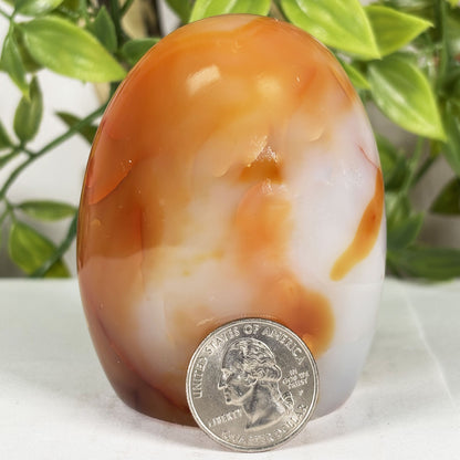 Carnelian Crystal Freeform -Gem Avenue Retail