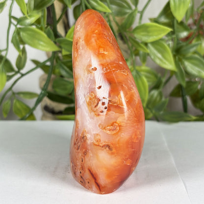Carnelian Crystal Freeform - Gem Avenue Retail