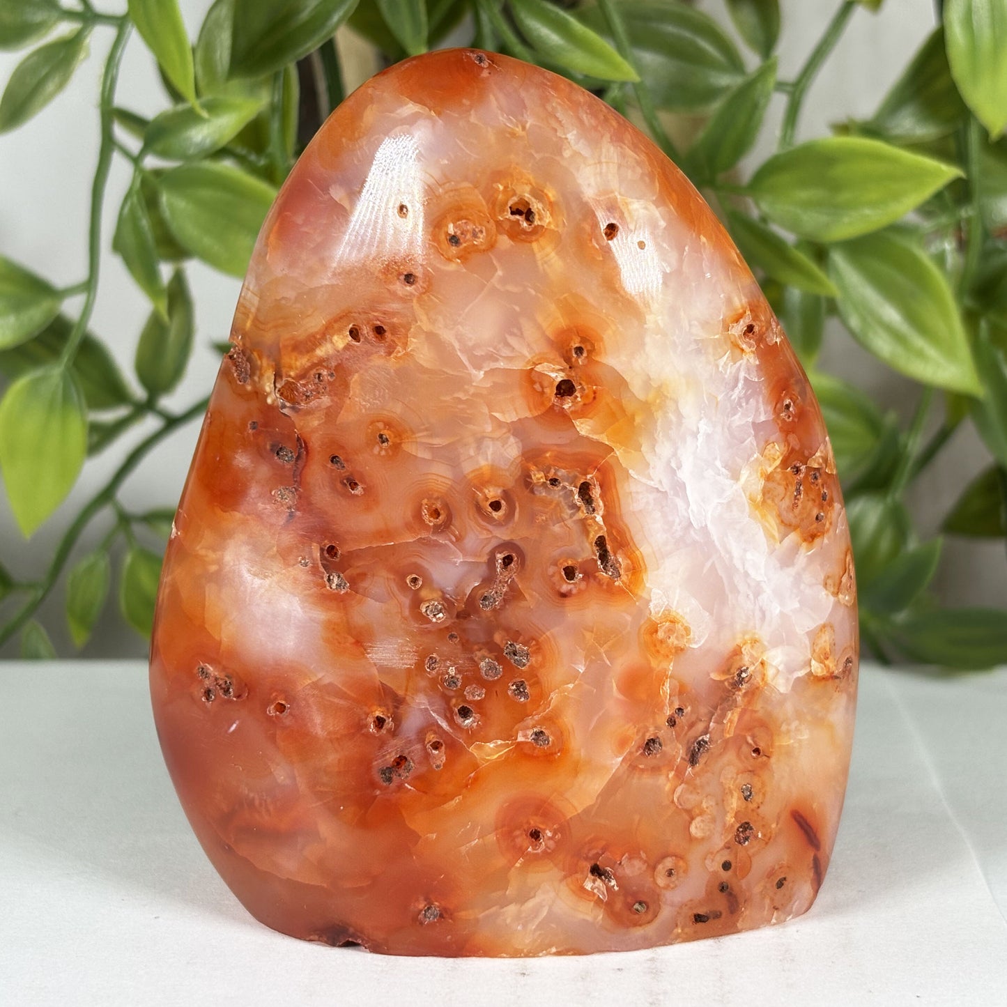 Carnelian Crystal Freeform - Gem Avenue Retail