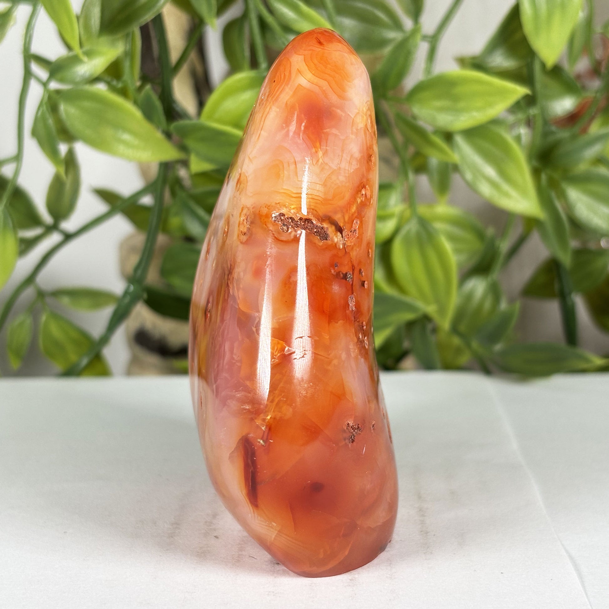 Carnelian Crystal Freeform - Gem Avenue Retail