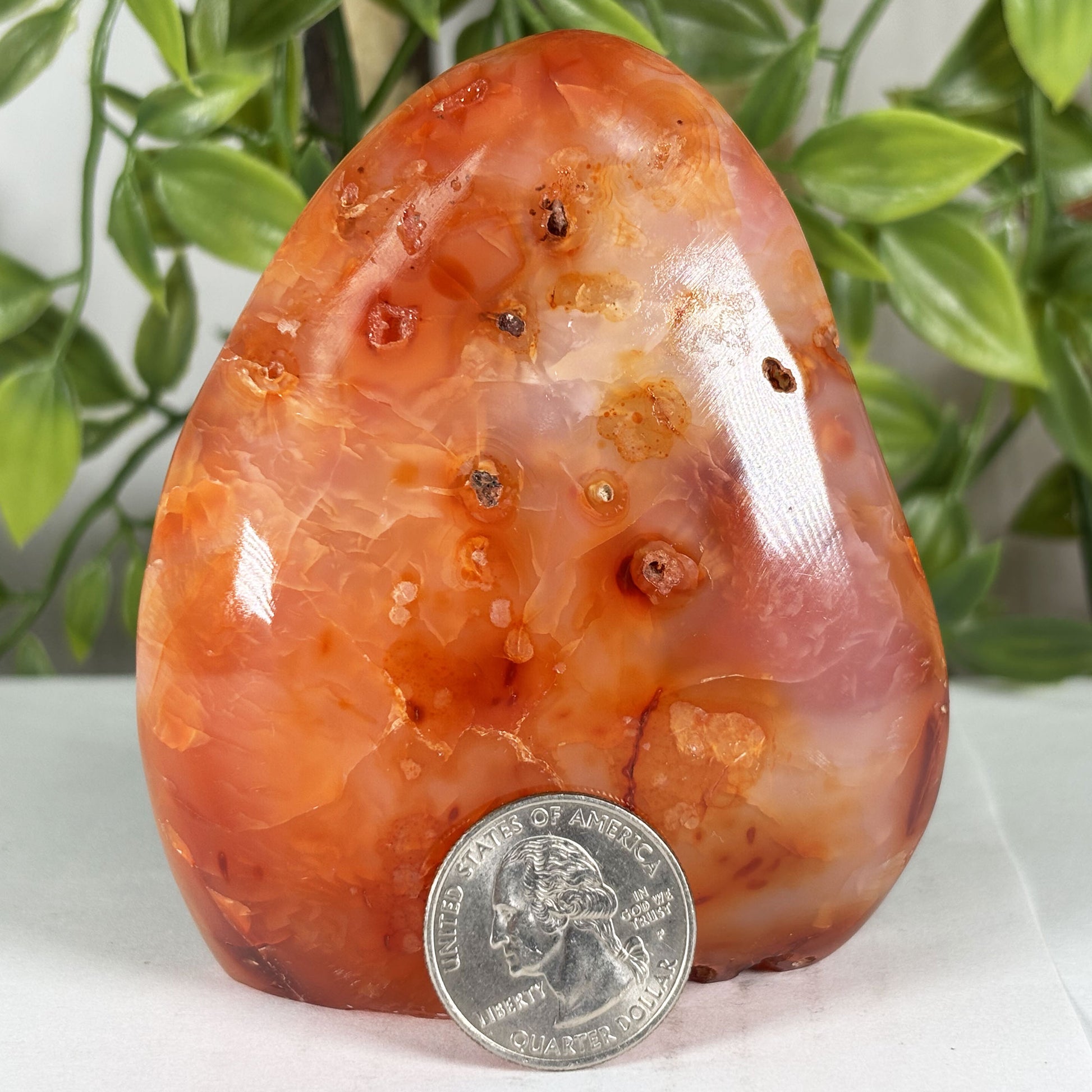 Carnelian Crystal Freeform - Gem Avenue Retail
