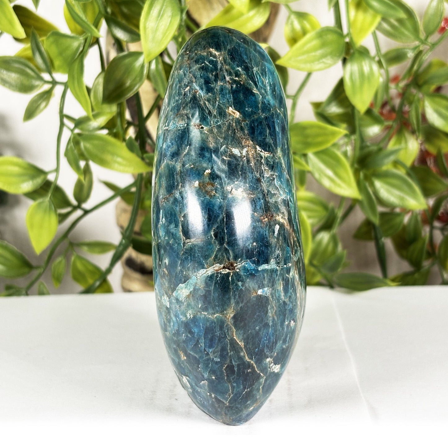 Apatite Crystal Freeform - Gem Avenue Retail