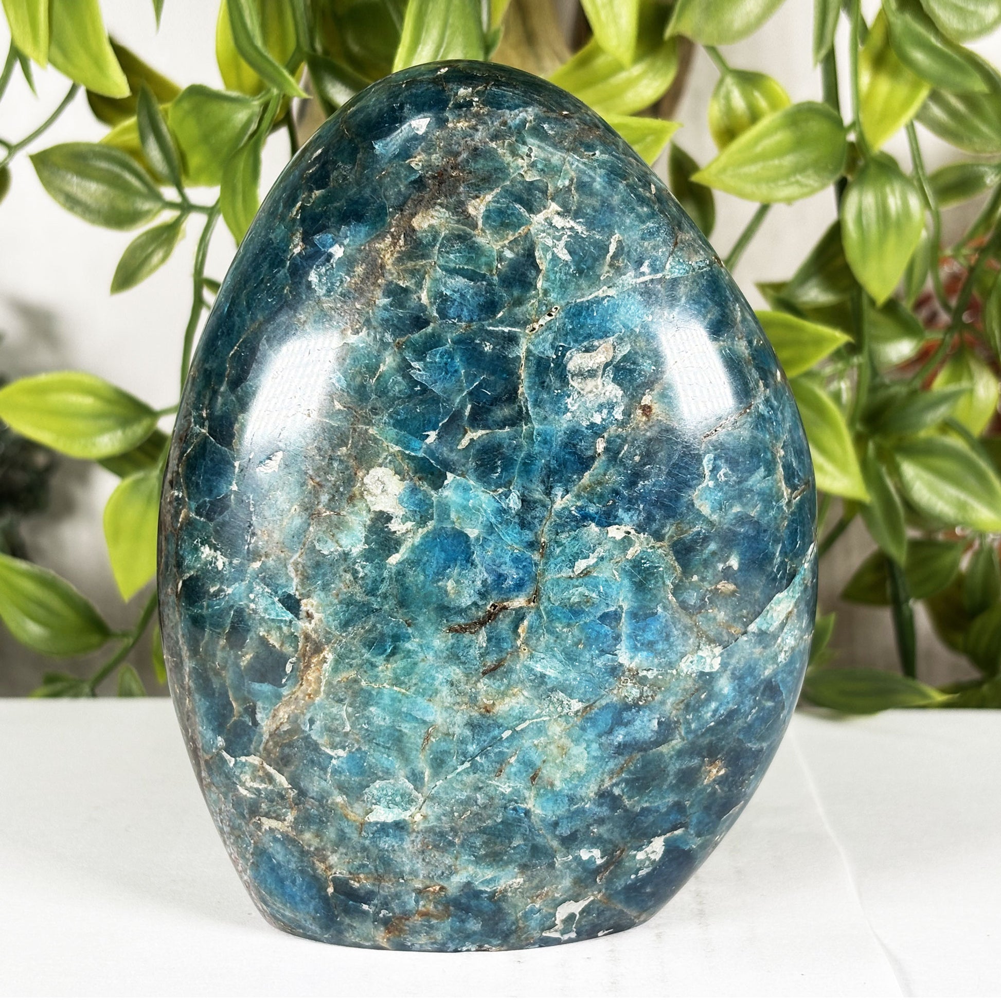 Apatite Crystal Freeform - Gem Avenue Retail