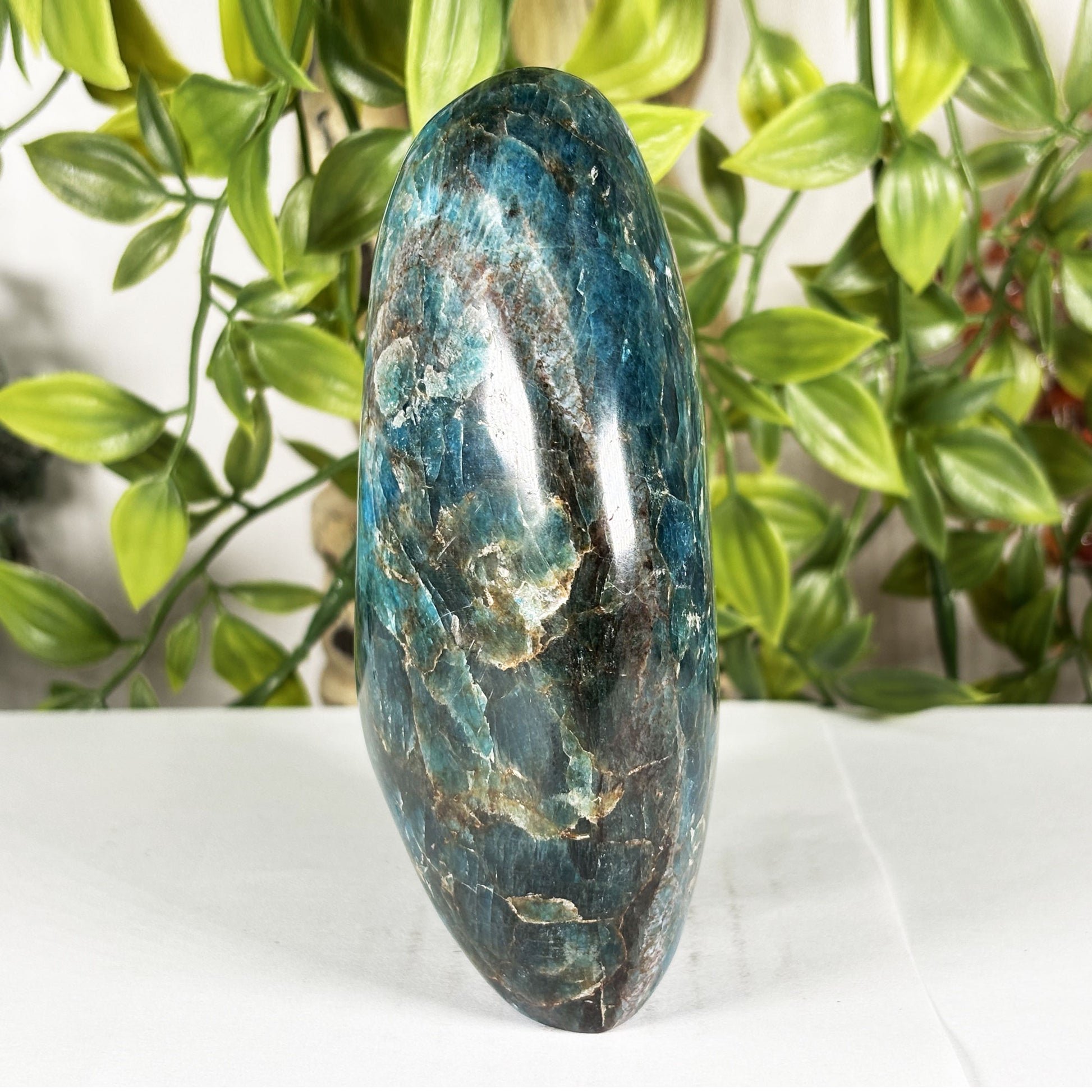 Apatite Crystal Freeform - Gem Avenue Retail