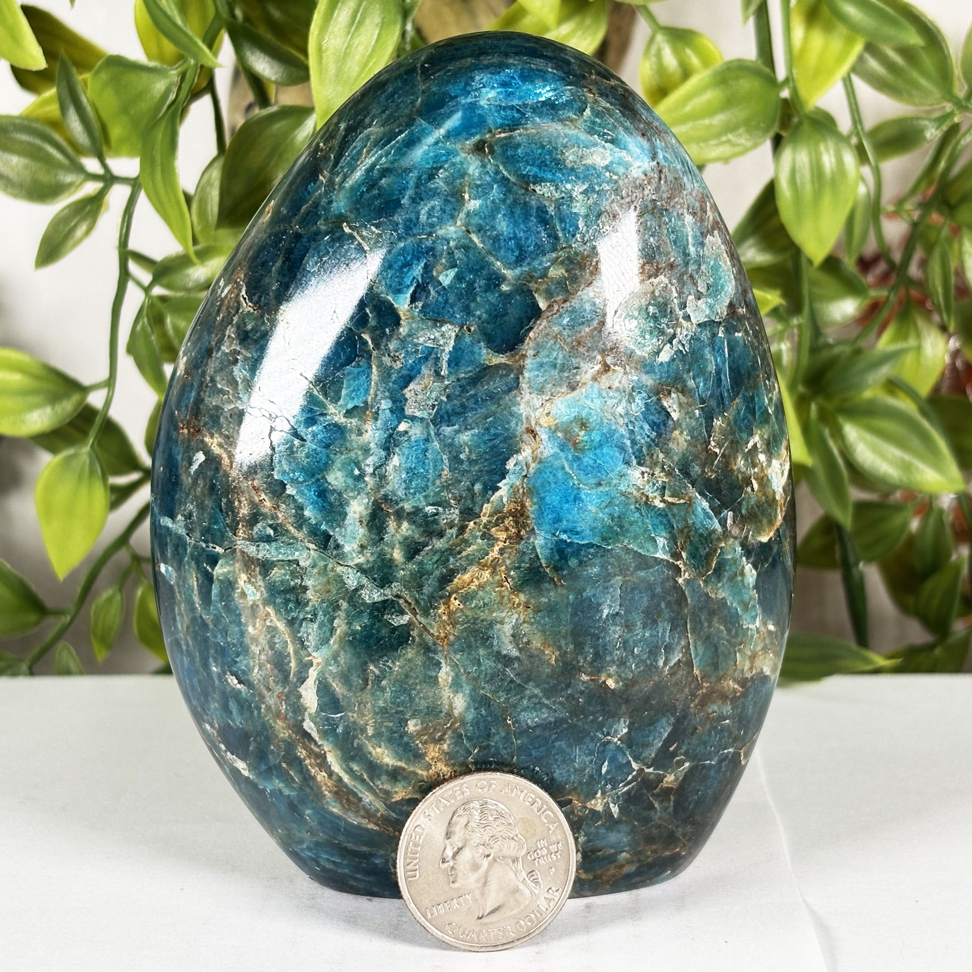 Apatite Crystal Freeform - Gem Avenue Retail