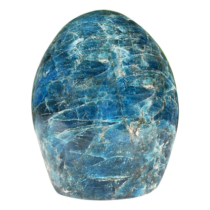 Madagascar Blue Apatite Freeform Crystal Specimen 4" Tall