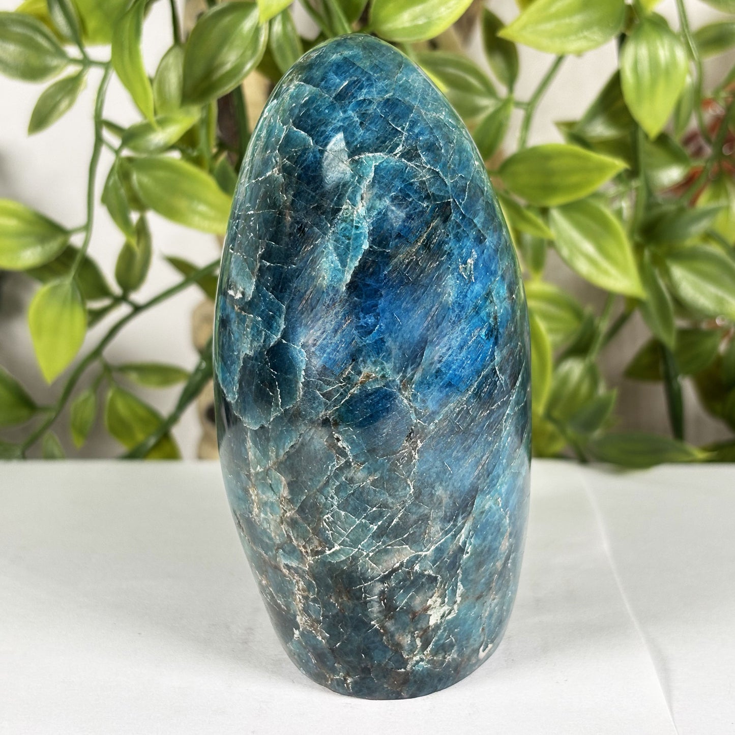 Madagascar Blue Apatite Freeform Crystal Specimen 4" Tall