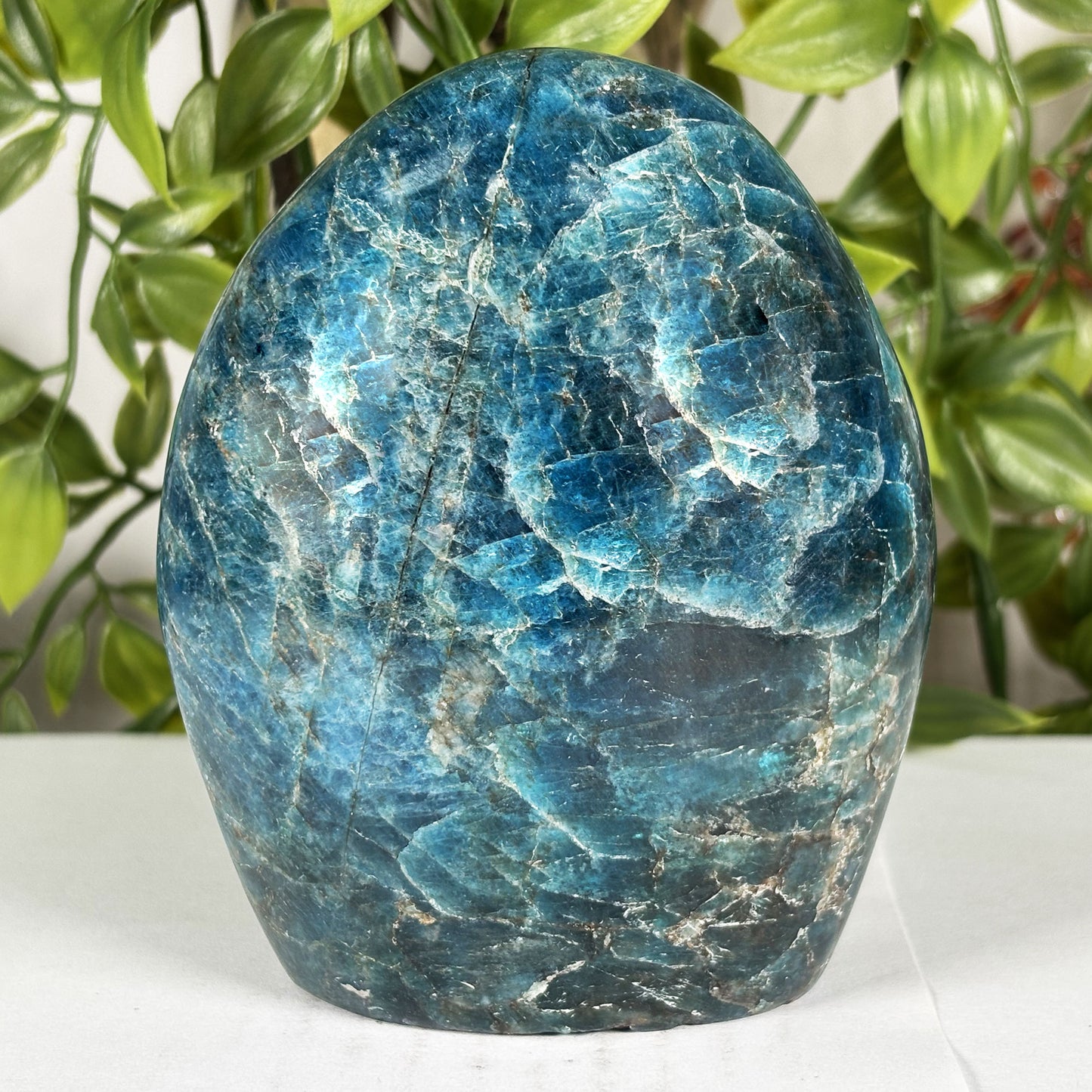 Madagascar Blue Apatite Freeform Crystal Specimen 4" Tall