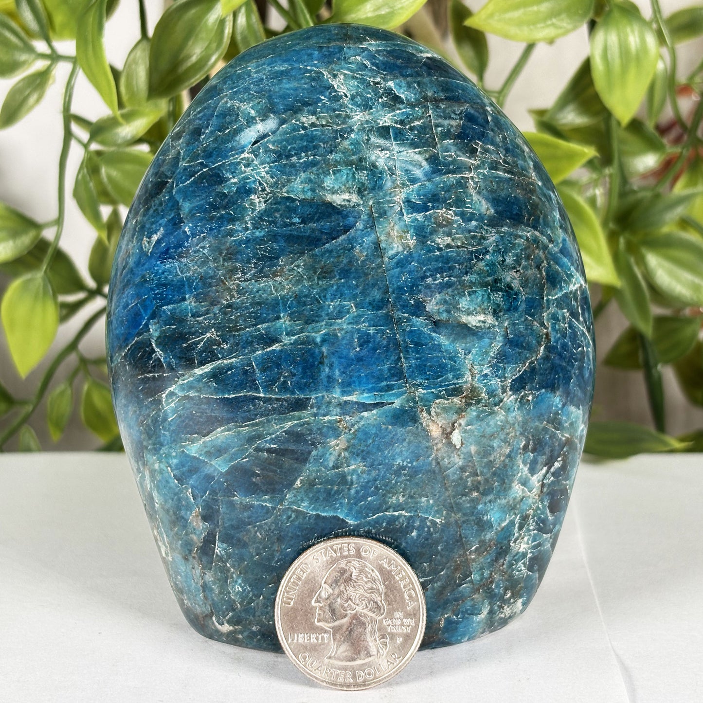 Madagascar Blue Apatite Freeform Crystal Specimen 4" Tall