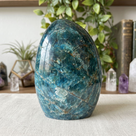 Madagascar Blue Apatite Freeform Crystal Specimen 4.5" Tall