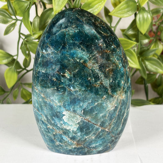Apatite Crystal Freeform - Gem Avenue Retail