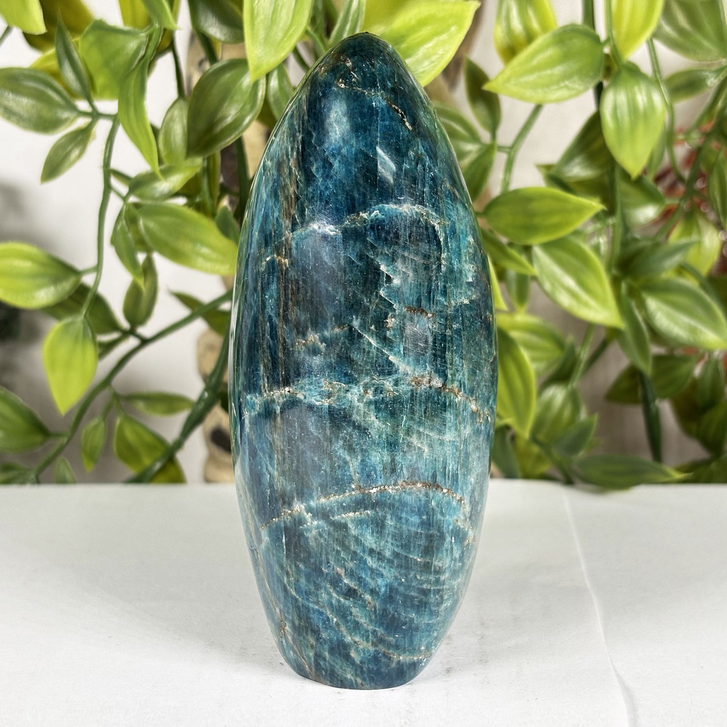 Apatite Crystal Freeform - Gem Avenue Retail