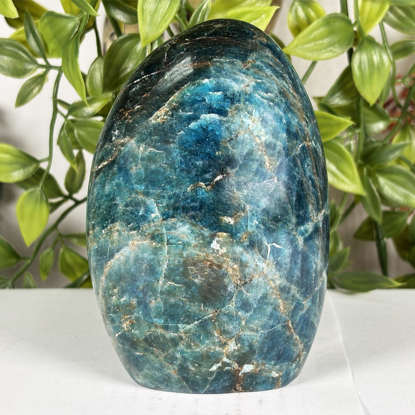 Apatite Crystal Freeform - Gem Avenue Retail