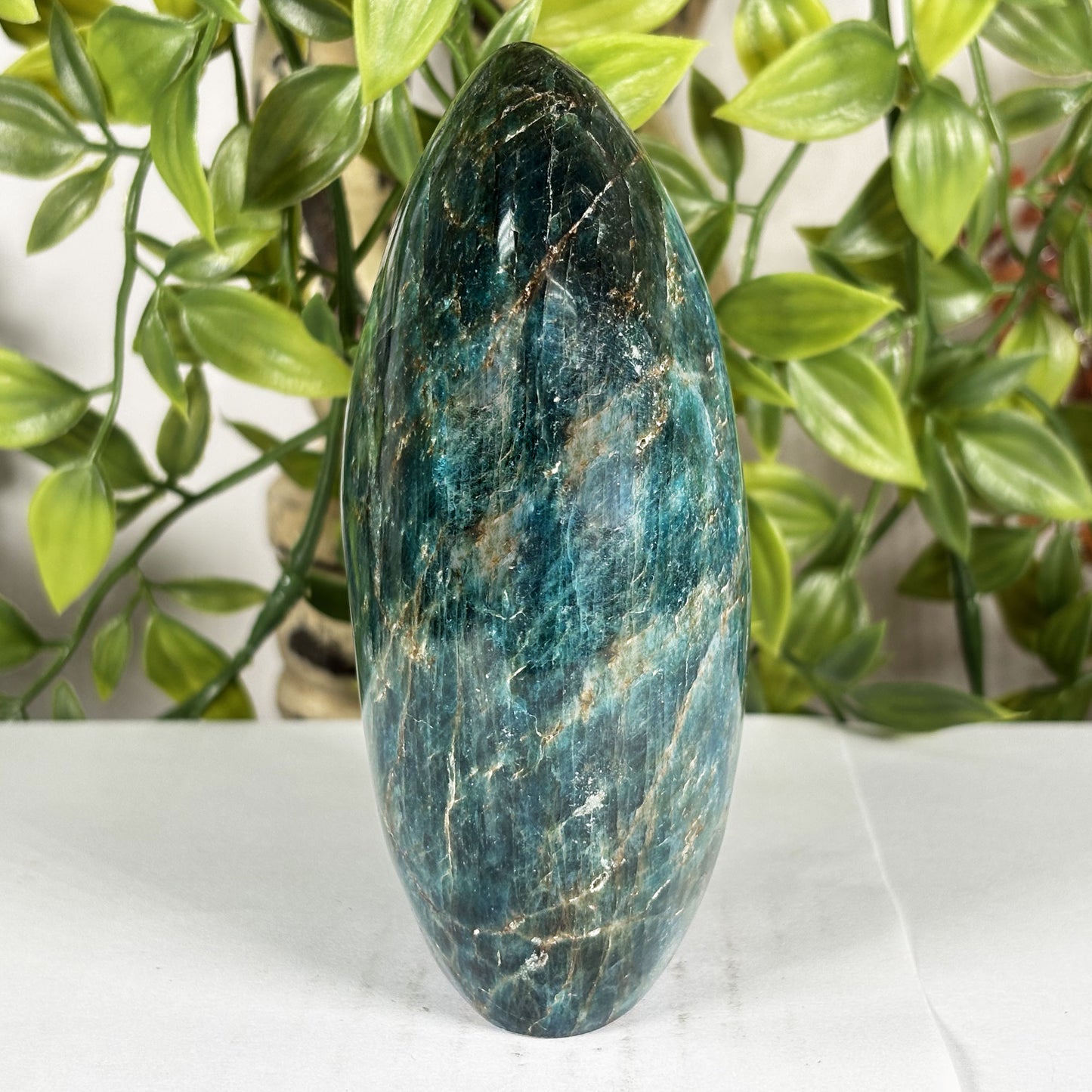 Apatite Crystal Freeform - Gem Avenue Retail