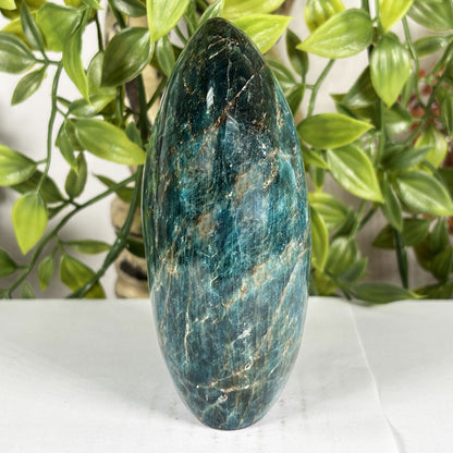Apatite Crystal Freeform - Gem Avenue Retail