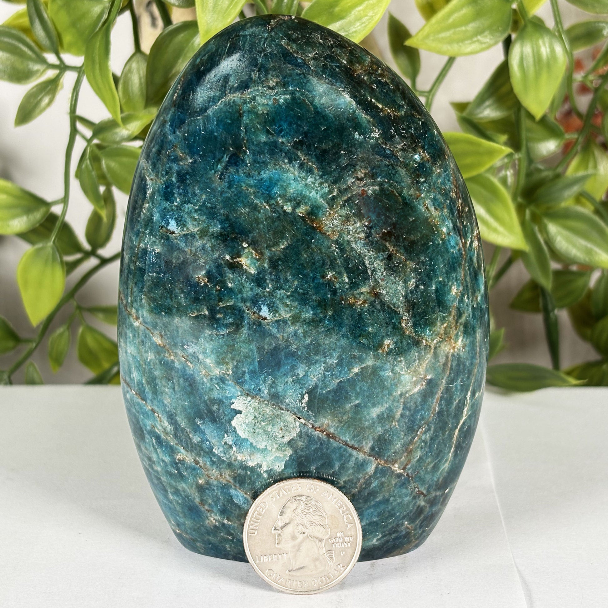 Apatite Crystal Freeform - Gem Avenue Retail