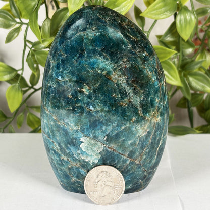 Apatite Crystal Freeform - Gem Avenue Retail