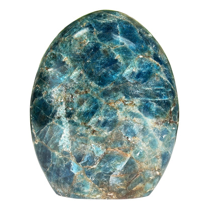 Madagascar Blue Apatite Freeform Crystal Specimen 4.25" Tall