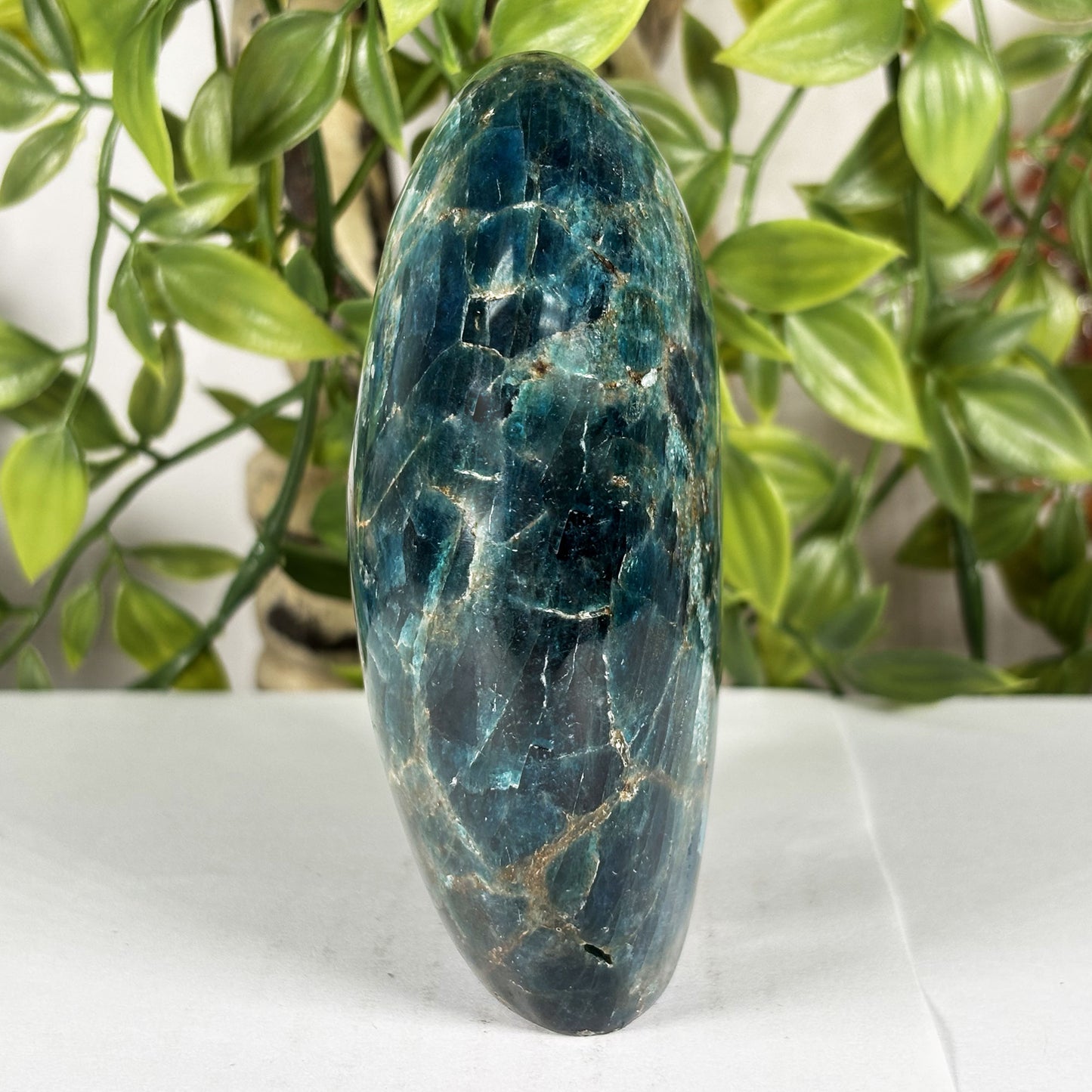 Madagascar Blue Apatite Freeform Crystal Specimen 4.25" Tall