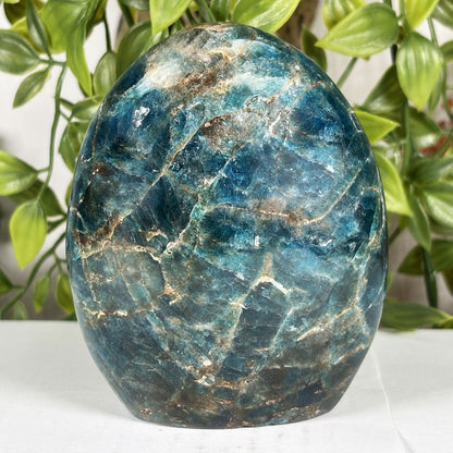 Madagascar Blue Apatite Freeform Crystal Specimen 4.25" Tall