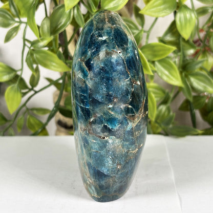 Madagascar Blue Apatite Freeform Crystal Specimen 4.25" Tall