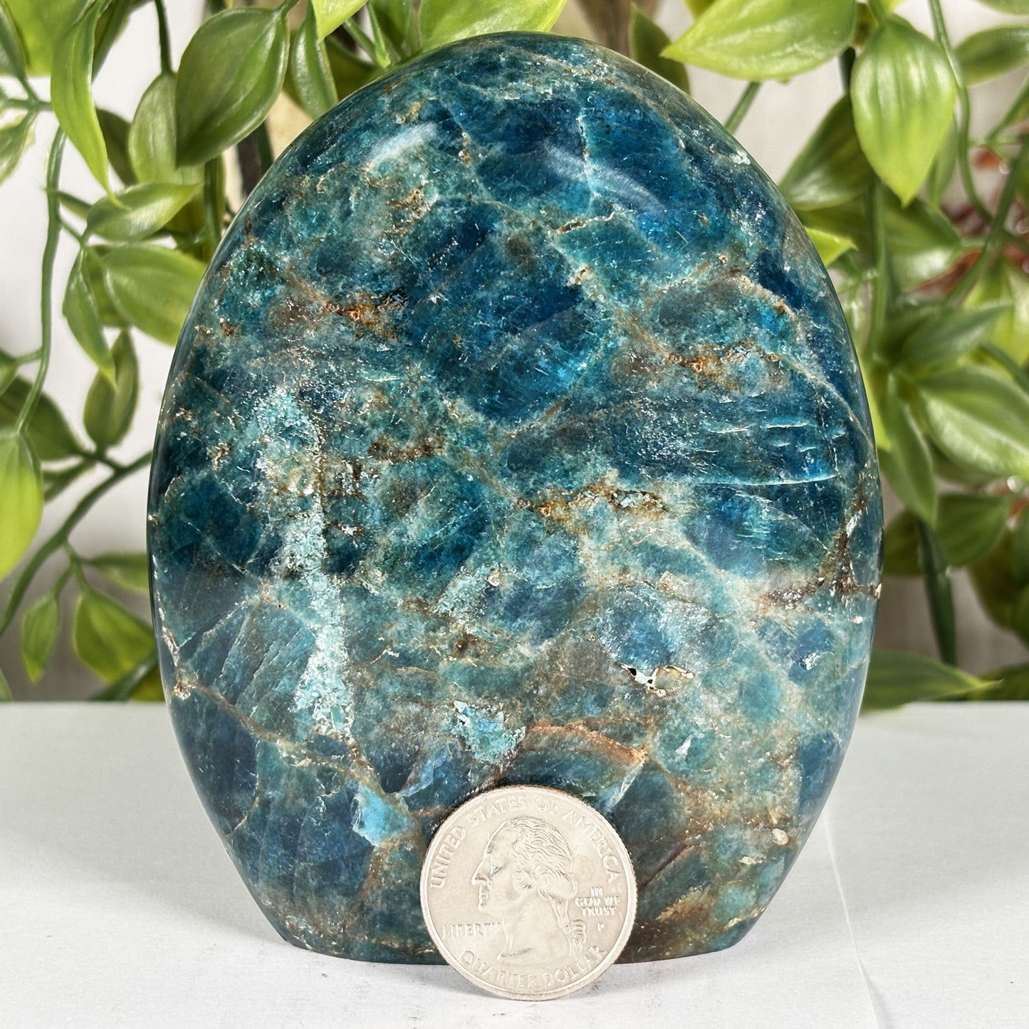 Madagascar Blue Apatite Freeform Crystal Specimen 4.25" Tall